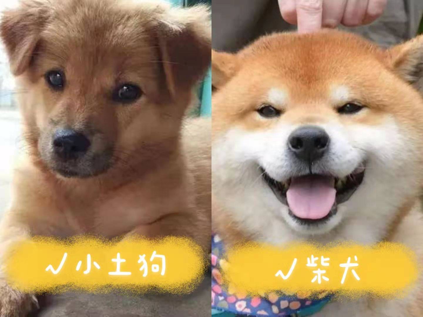 佷和很的区别 很和相当是副词吗 