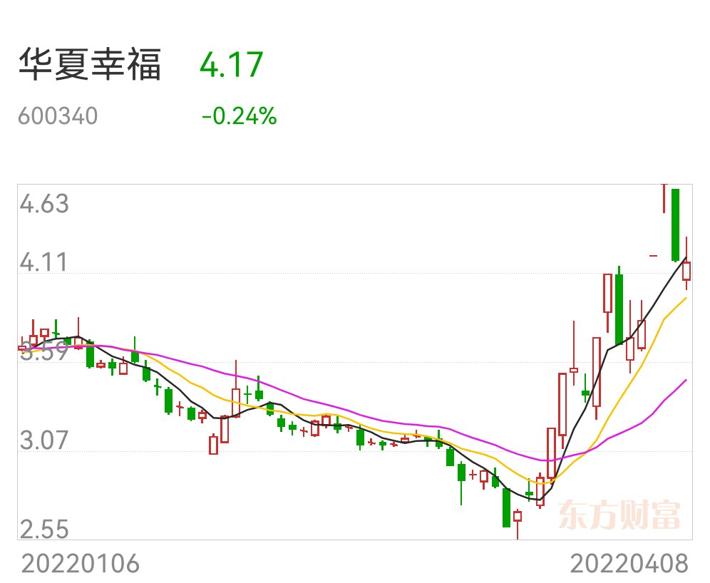 河北华夏幸福主场不敌对手，需反思战术安排的简单介绍